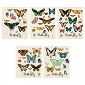  48. . "Butterfly" -
