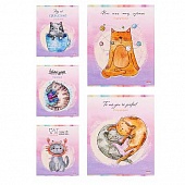 Тетрадь 48л. кл. "Коты-Друзья" цветная мелованная обложка, 5 дизайнов