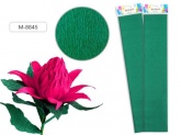   50*250  -8845
