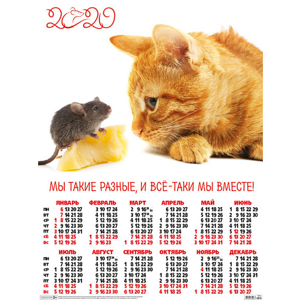 ��������� 2020 ��� �����
