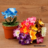 ����� ������� 5���. 20��. 9�����