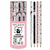 �������� ��������������� ���������� "Colorio" ��