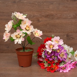 ����� �������� 7���. 35��. 4����