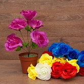 ����� ���� 5���. 38��. 5�����