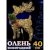 ����� ������������� �������� 40��.