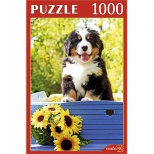 ����� 1000 ��. "����� �����"