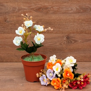 ����� ����-��������  5���. 30��. 6�����