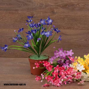 ����� ��������� (������ �������������) 35��. 6�����