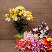 ����� ������������ 18����� 55��.