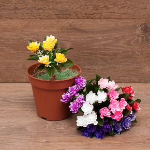 ����� ������� 15��. 8�����