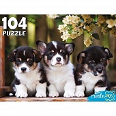 ����� 104 ��. "�������� ����� �2"
