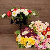 ����� ���������� 18���. 50��.