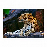 ������� �������� 22*32��."������� �� �����" � ����.,� ����.���. 20��.