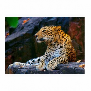 ������� �������� 22*32��."������� �� �����" � ����.,� ����.���. 20��.