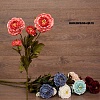 Цветы Роза 4гол. 90см. Цветы Роза 4гол. 90см.