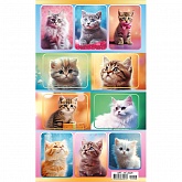 �������� "����� � ������"