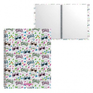 ����� � 20 ������� �4 �� ������� ErichKrause Neon Cats