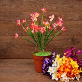 ����� ��������� 5����� 38��.