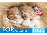  1000. "  "