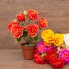 Цветы Пион 6гол. 35см. 4вида Цветы Пион 6гол. 35см. 4вида