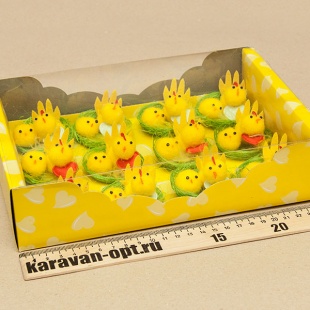 ������� ���������� 2�������� � ������ 12��. � �������� 25*17��.