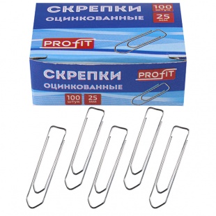 ������� 25�� 100��/��. ������������