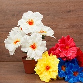 ����� ������� ������� 5���. 40��. 5�����