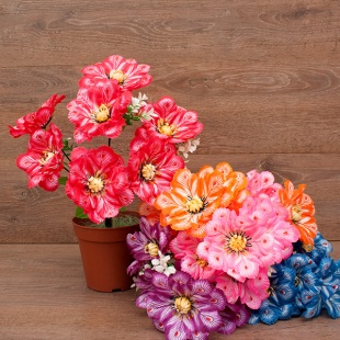 ����� ������� 7���. 35��. 5�����