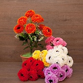 ����� ����� ����������� 9���. 50��.