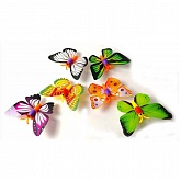 ������� ����������� � ������