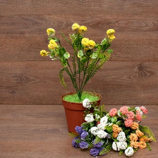 ����� ������ 5����� 30��. 5�����