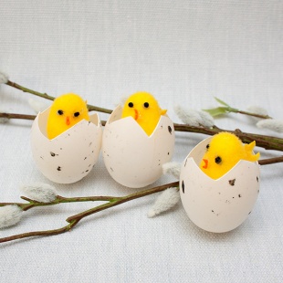 ����� "������� ������������� �� ����" 3��.(4*6)