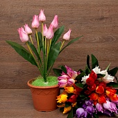 ����� ������� 9���. 50��.