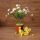 ����� ���������� 6����� 40��.