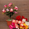 Цветы Роза с ромашками 7гол. 45см. 10видов Цветы Роза с ромашками 7гол. 45см. 10видов