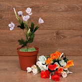 �����   ������� 5���. 30��. 6�����