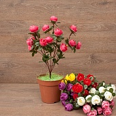 ����� ������� 5����� 36��.