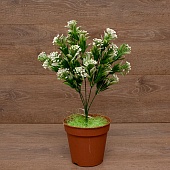 ����� ����� 5����� 38��.