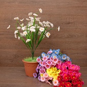 ����� ������� 11����� 60��.