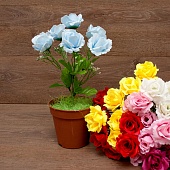 ����� ���� 6���. 35��.