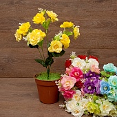 ����� ���� 5����� 38��.