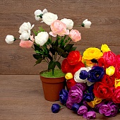 ����� ������� 7���. 45��.