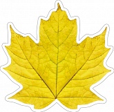 �������� �������� ���� (�����)