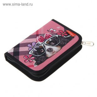 �����-������ ��� ���������� ErichKrause� 135x205x30�� Clever Dog