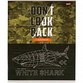 Тетрадь 48л. кл. цветная мелованная обложка Тетрадь 48л. кл. цветная мелованная обложка