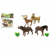 ����� �������� 4��. � ������ 21*22��.