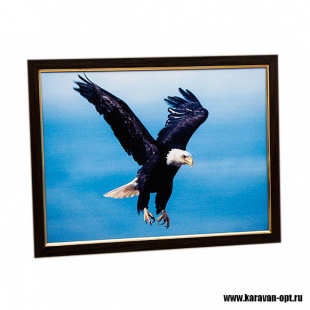 ������� (�����) 30*40 �16 ����