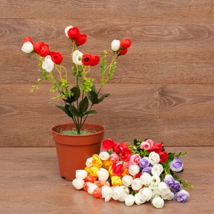 �����  ���� �������� 5���. 35�� 6�����