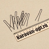   5. (  10.)
