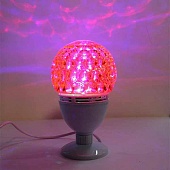 ����������-������ �������� �� ������� "��� �� ���������"